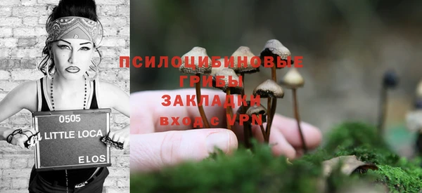 крисы Богданович