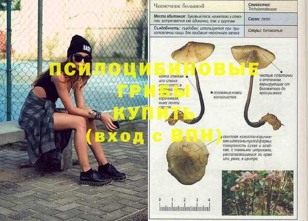 крисы Богданович