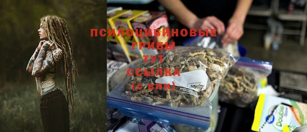 крисы Богданович