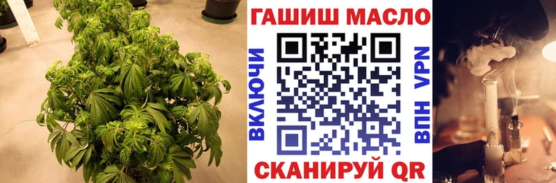 площадка клад где найти наркотики Дмитров ТГК вейп с тгк mega ТОР