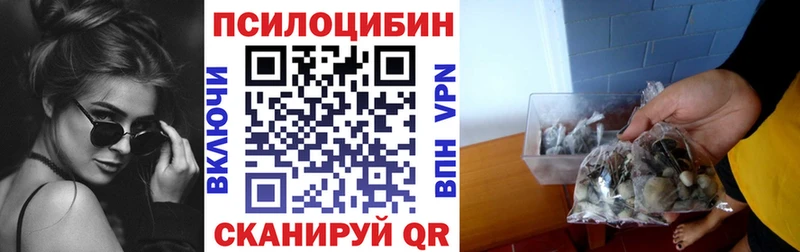 MEGA ТОР Дмитров Галлюциногенные грибы прущие грибы